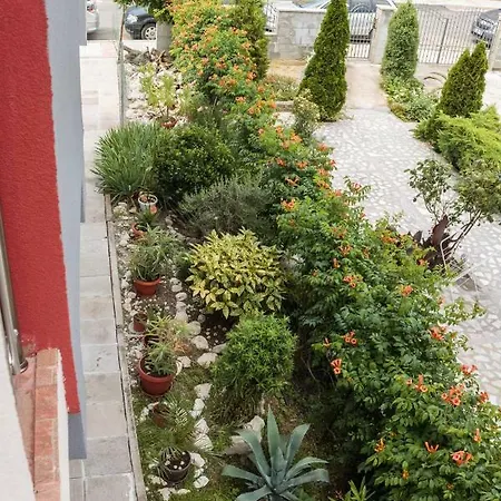 Maison d'hôtes Къща Алтемдиа Със Стаи За Гости